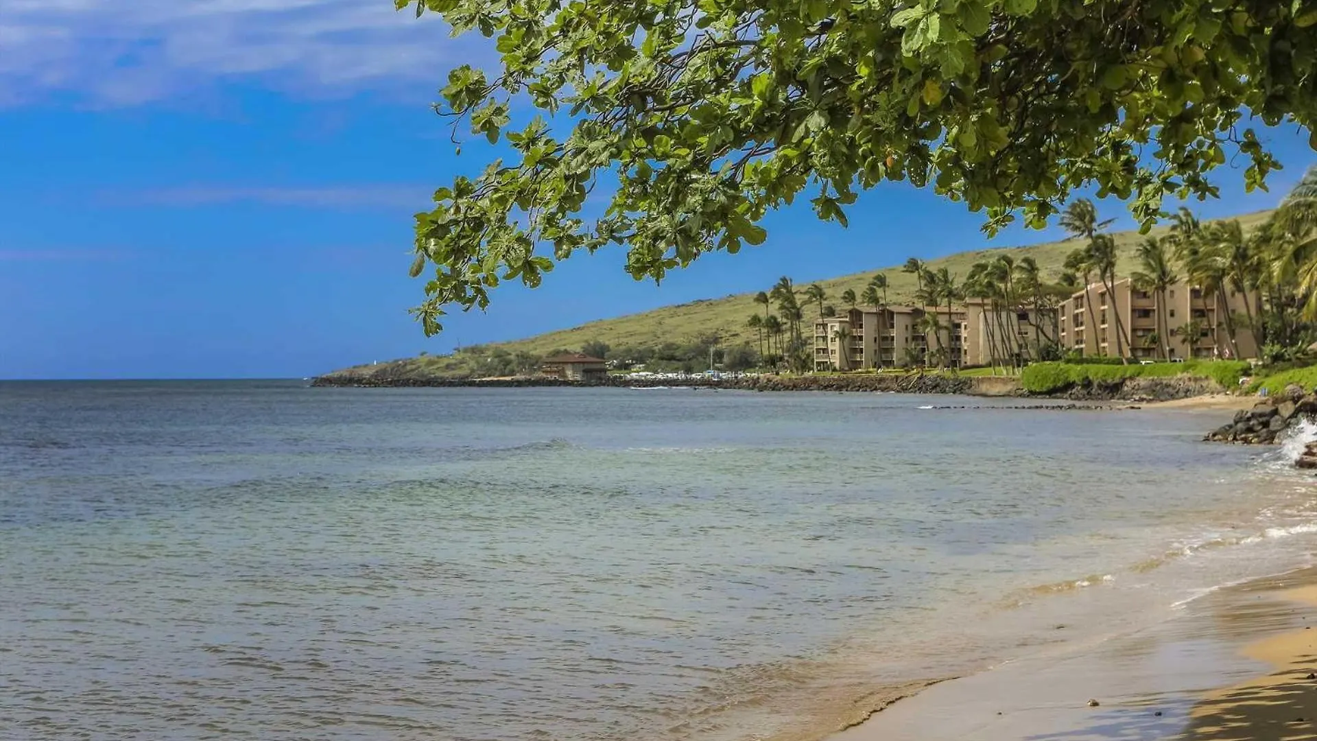 Island Sands 401 Wailuku Holiday home