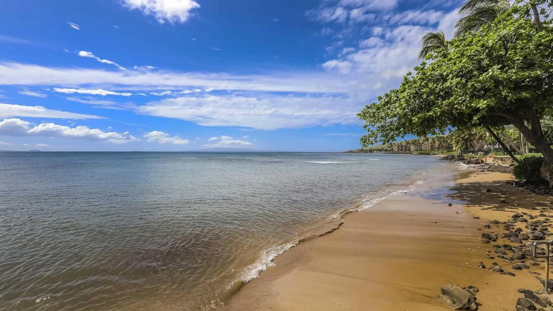 Island Sands 401 Wailuku United States